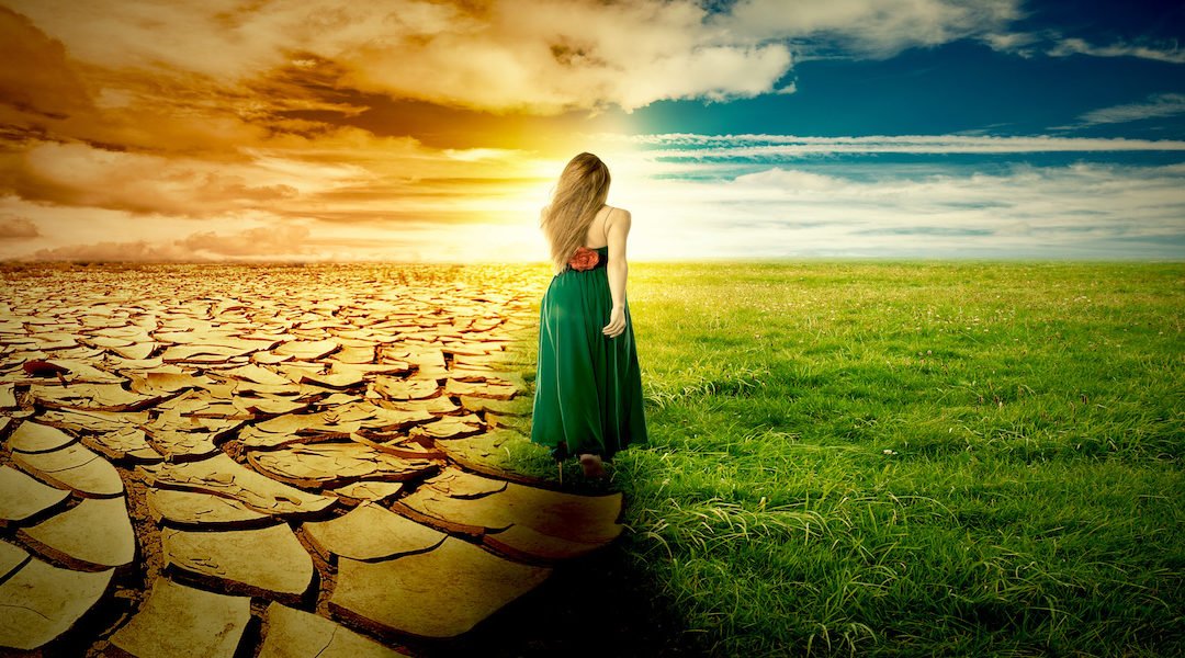 A Climate Change Concept Image. Landscape green grass and drought land